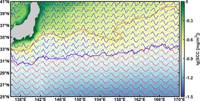 Latitudinal-dependent emergence of phytoplankton seasonal blooms in the Kuroshio Extension